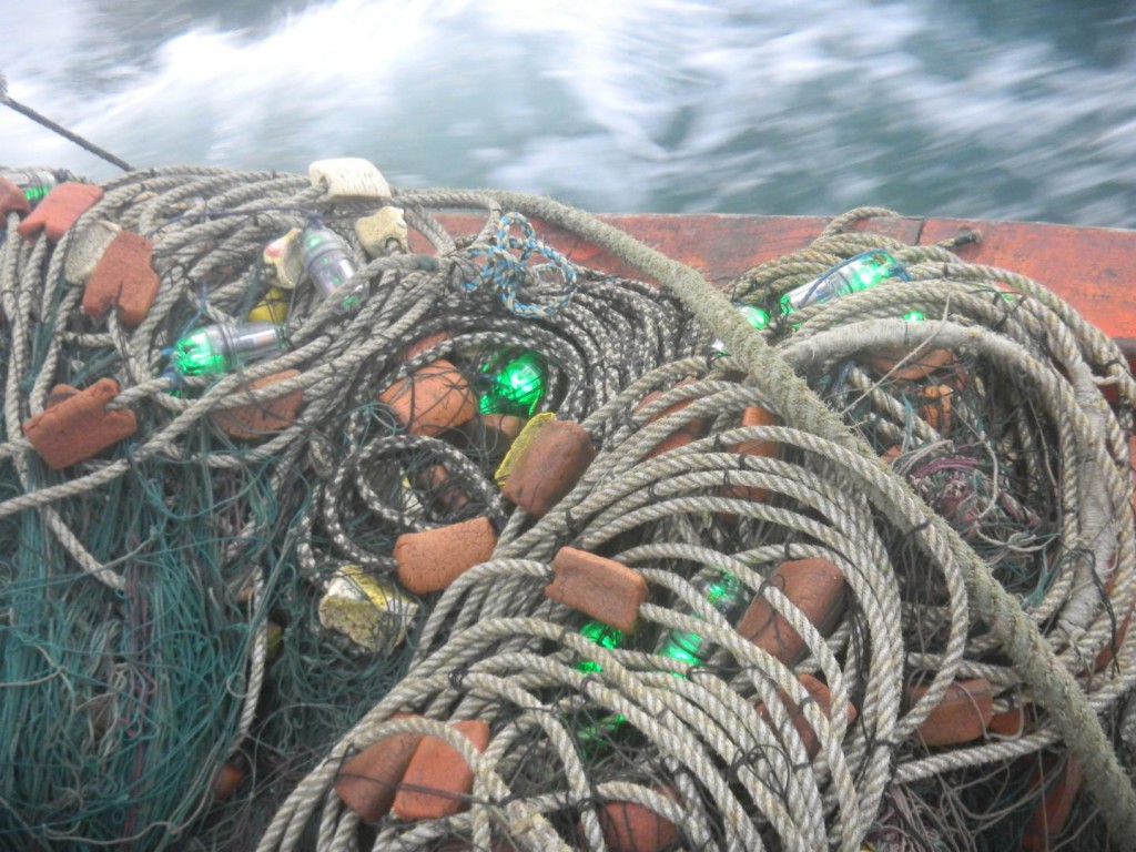 LED-Fishingnets