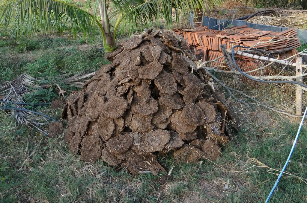 GOBAR-Dhan: Cattle dung to make farmers rich